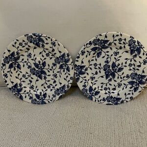 Elegant Blue Floral Dessert Plates
